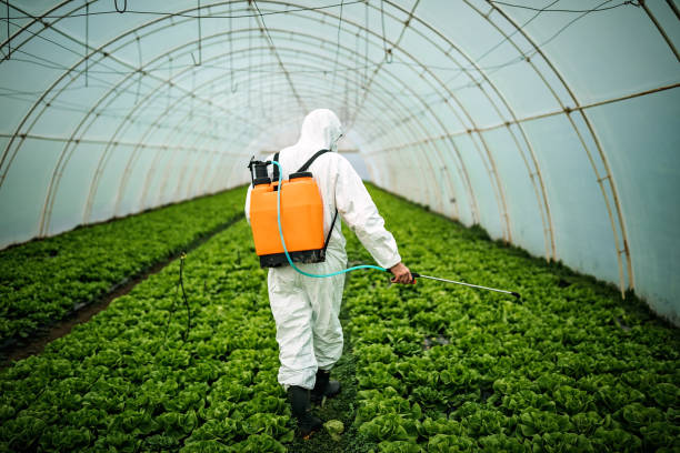 Best Local Pest Control Services  in Tresckow, PA