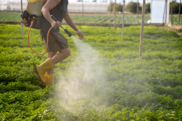 Best Pest Control for Businesses  in Tresckow, PA