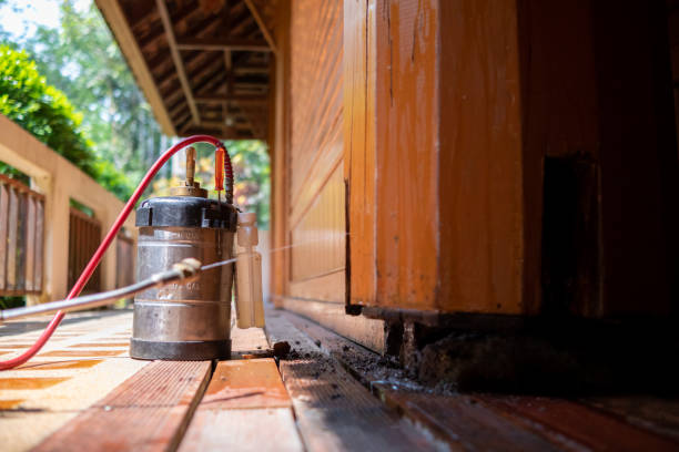 Best Affordable Pest Control Services  in Tresckow, PA