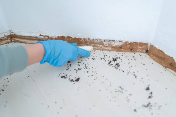 Best Pest Inspection Near Me  in Tresckow, PA